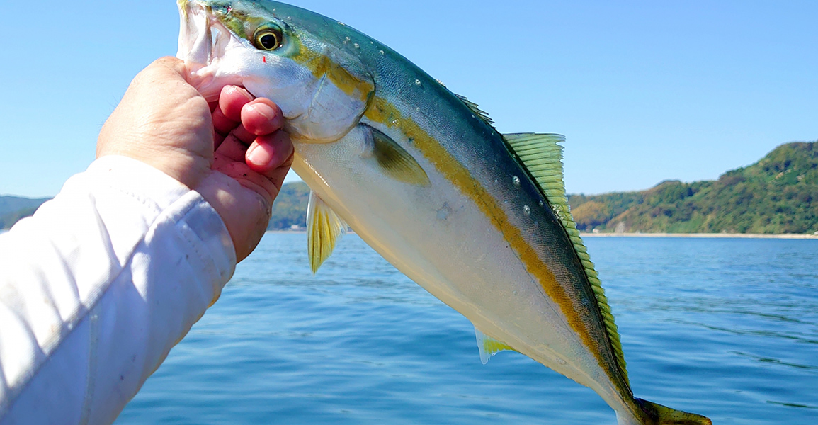 Sea Fishing Learning